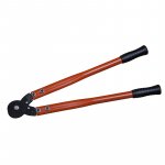 Ein allgemeines Bild