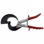 Ein allgemeines Bild