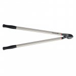 Ein allgemeines Bild