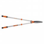 Ein allgemeines Bild