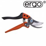 Ein allgemeines Bild