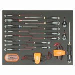 (Bild für) 3/3 Einlage, Schraubendreher + Bits, 66-tlg